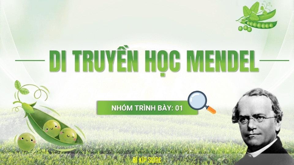 di truyền học mendel