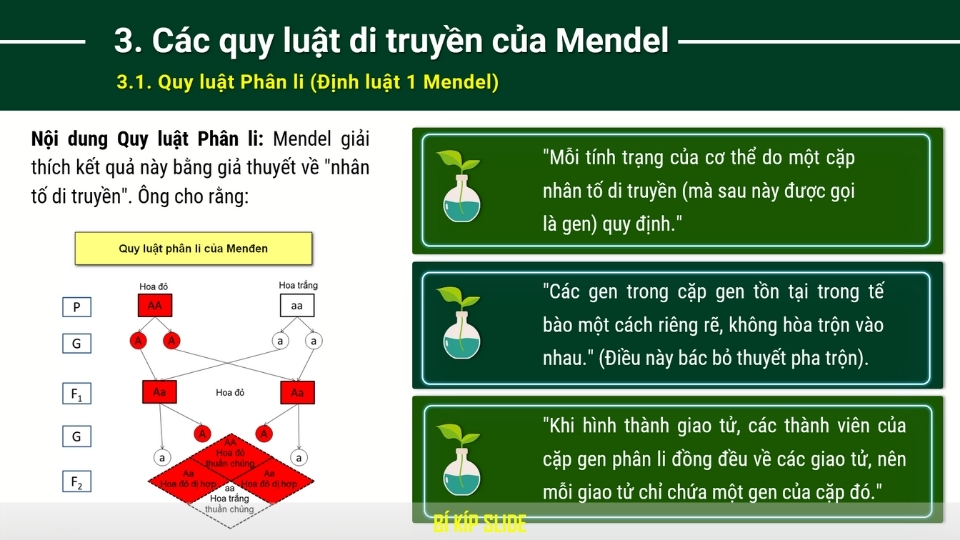 di truyền học mendel
