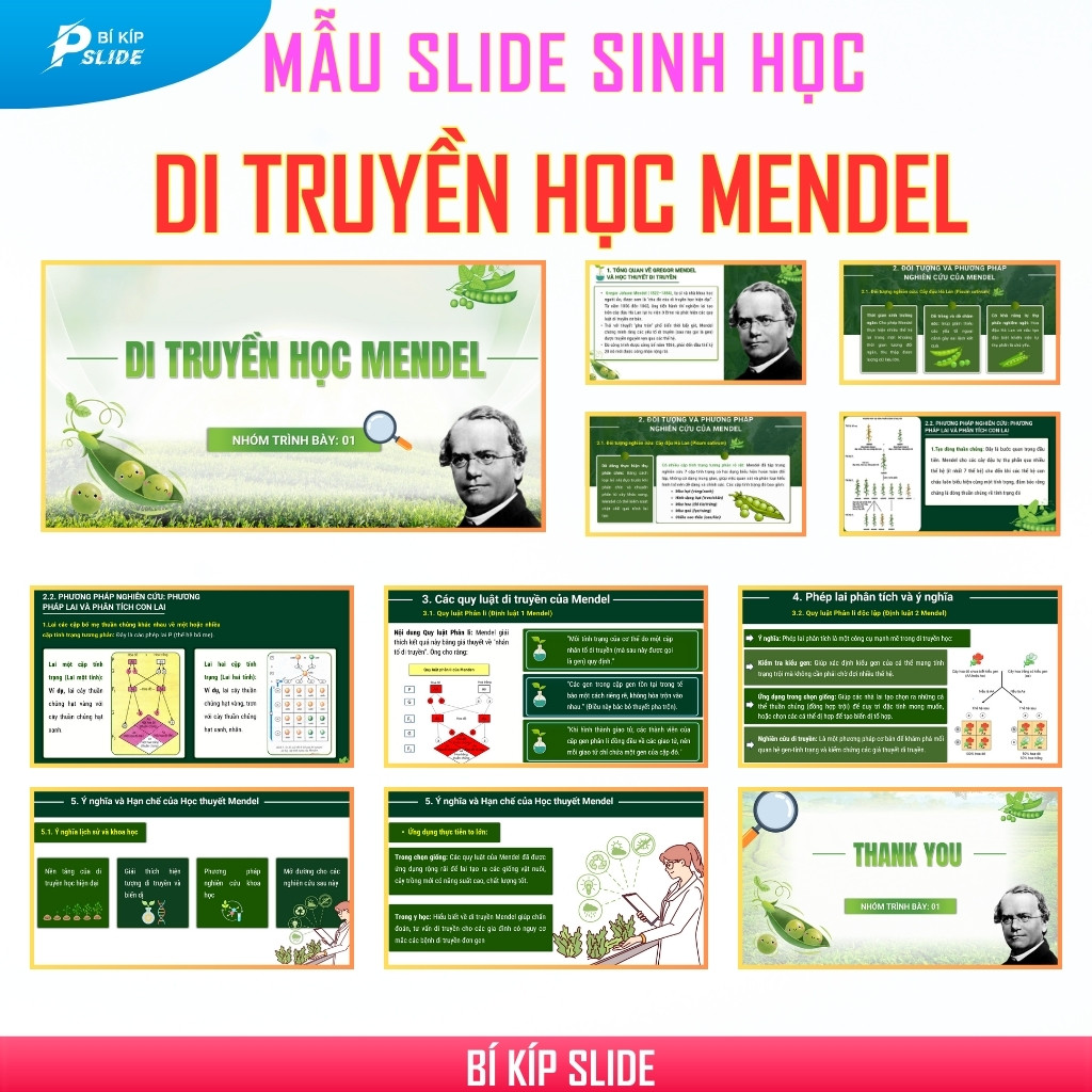 di truyền học mendel