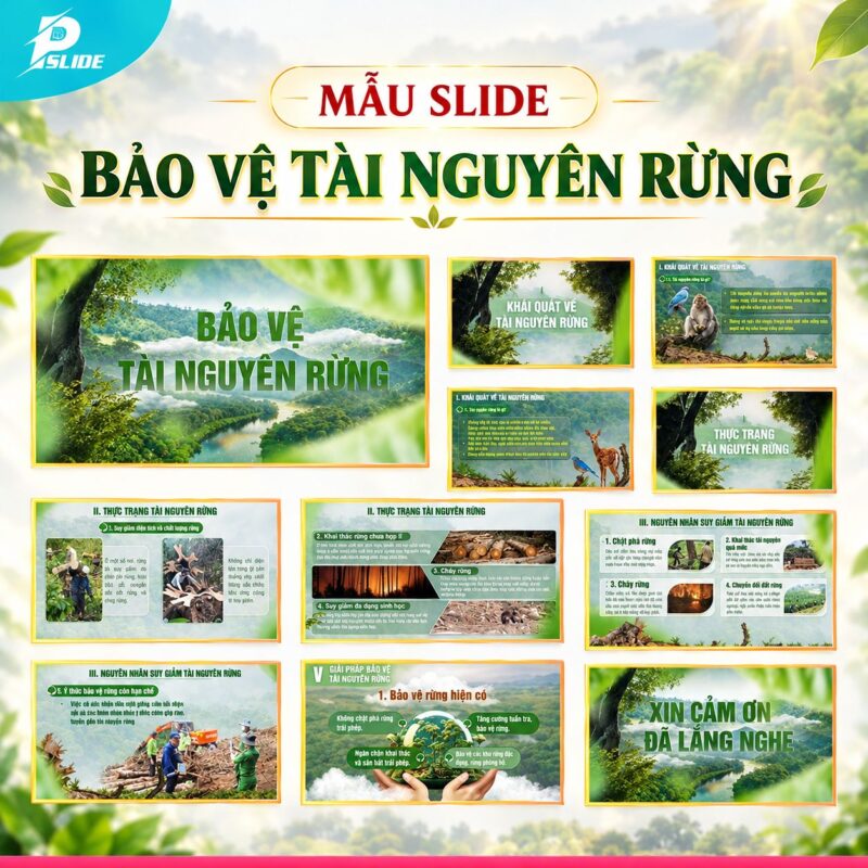 Mẫu Slide Bảo Vệ Tài Nguyên Rừng
